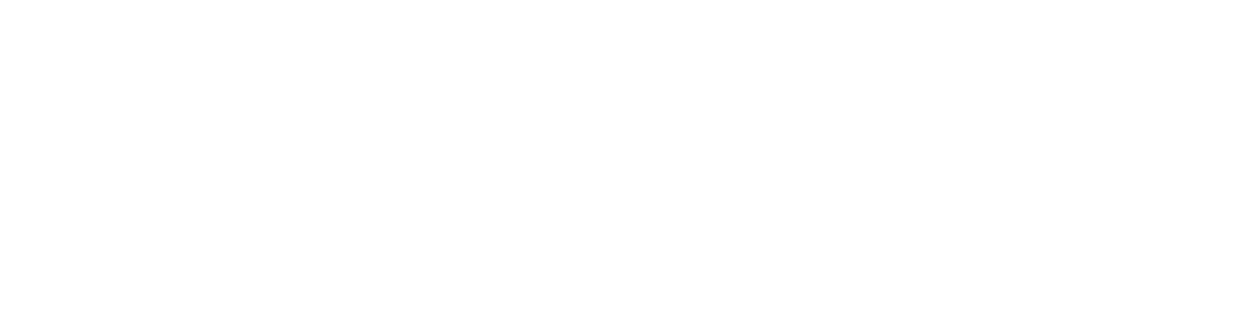Starlink Logo White